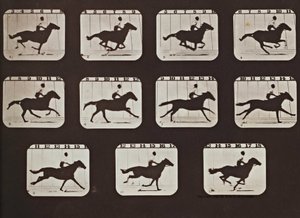 動く動物の態度から走るサリー・ガードナー 作： Eadweard Muybridge